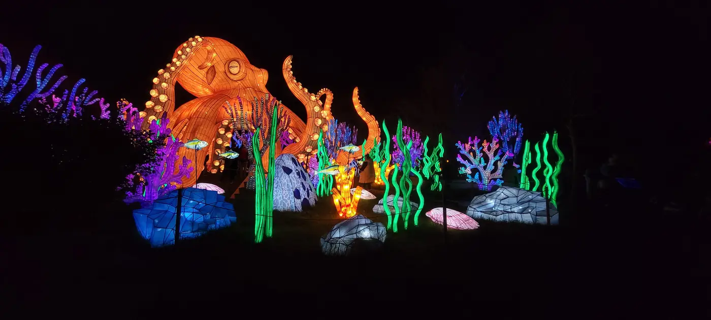 Glowing octopus and coral lanterns at night